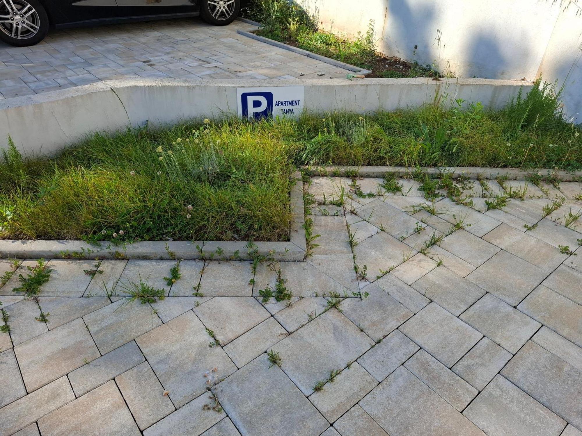 Apartment Tanya Rijeka Exterior photo